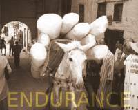 Endurance in the daily fight against headache and migraine