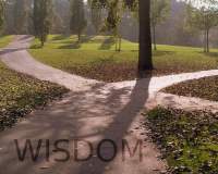 Wisdom - applying knowledge to minimize headache and migraine attacks