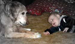 Dog with Baby