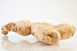 Ginger for Migraine