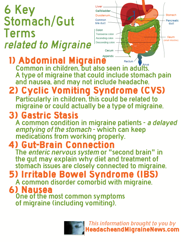 6 Key Stomach / Gut Terms related to Migraine