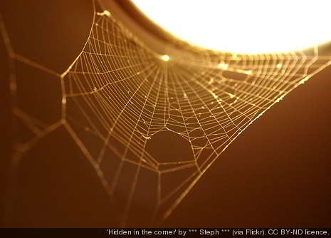 The Spider Web