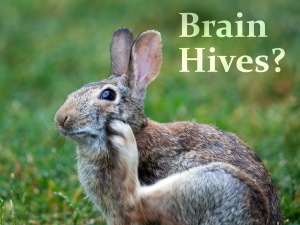 Brain hives and migraine