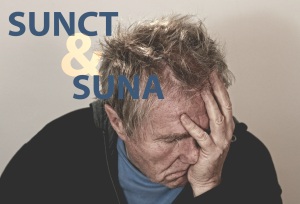 SUNCT and SUNA