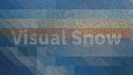 Visual Snow