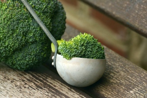 Broccoli and Lipoic Acid