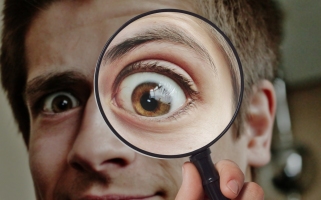 Search results: Magnifying glass